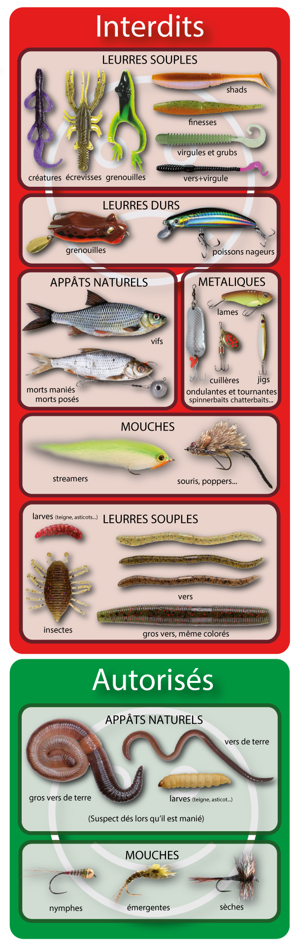 fermeture carnassiers 2024