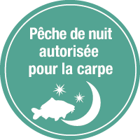 Pêche de nuit